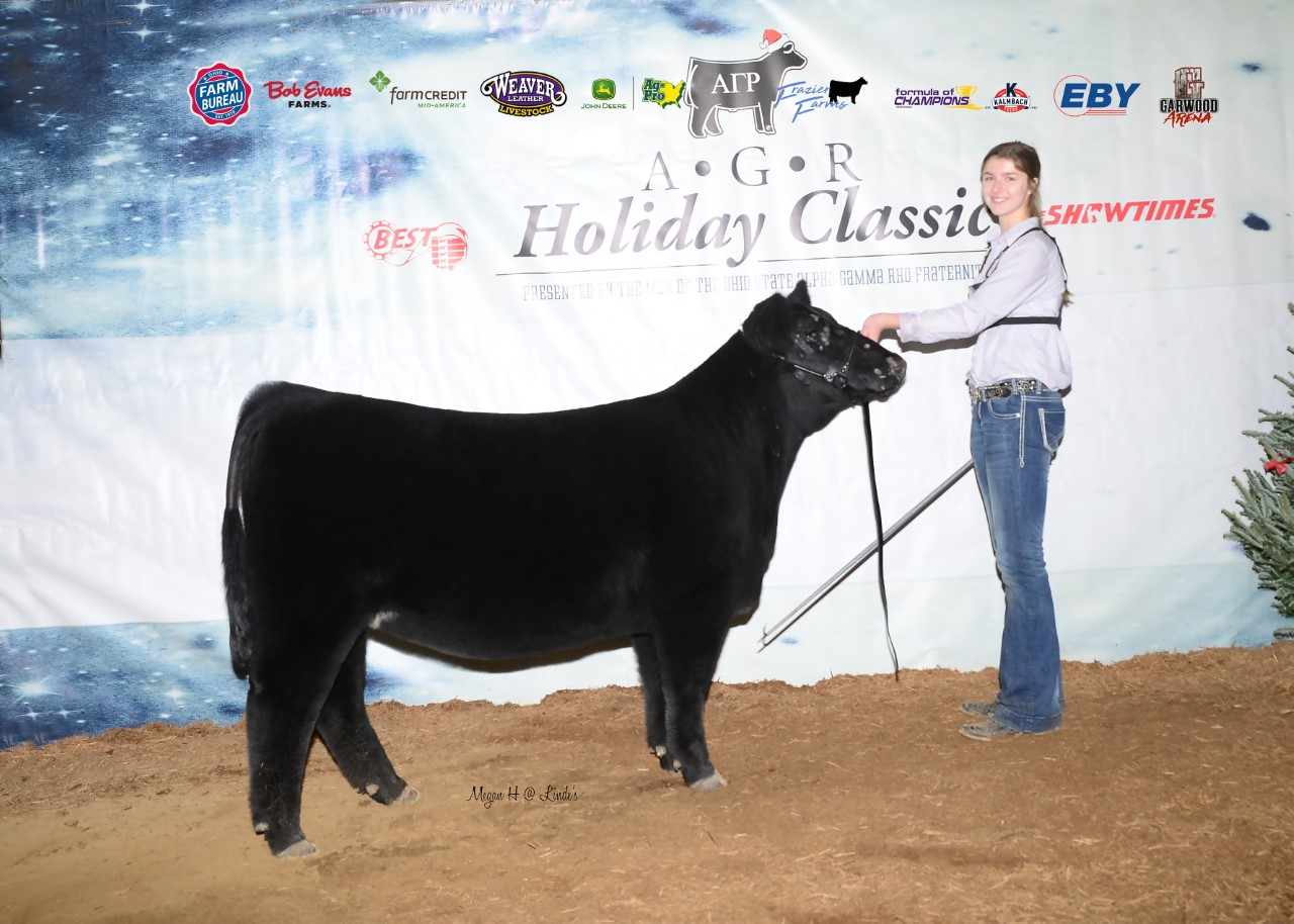 Reserve Champion Maintainer Female  2019 AGR Holiday Classic Shown by Riley Rismiller