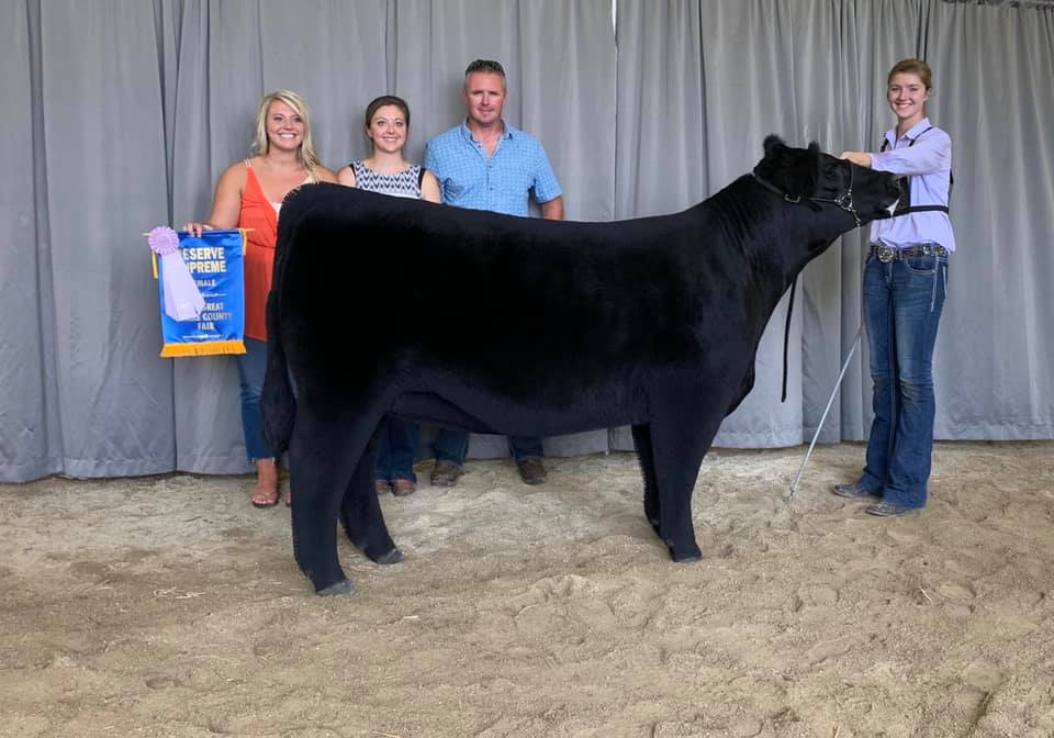 Champion Overall Female  2019 Darke County Fair  Shown by Riley Rismiller
