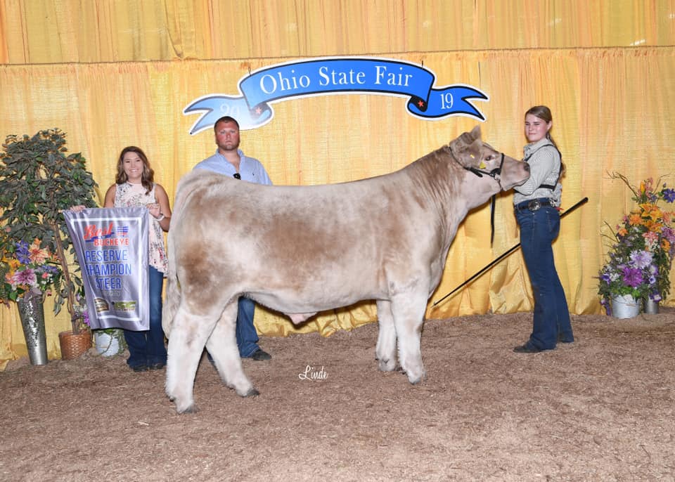 Reserve Champion AOB Female Best of the Buckeye