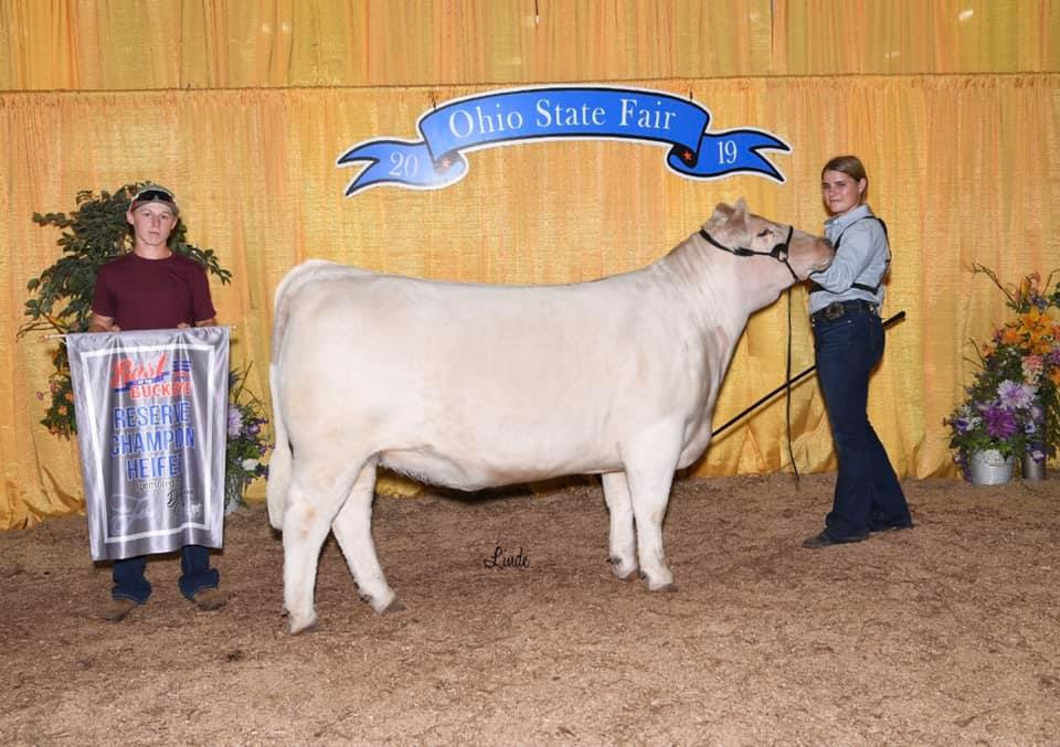 Reserve Champion AOB Steer Best of the Buckeye