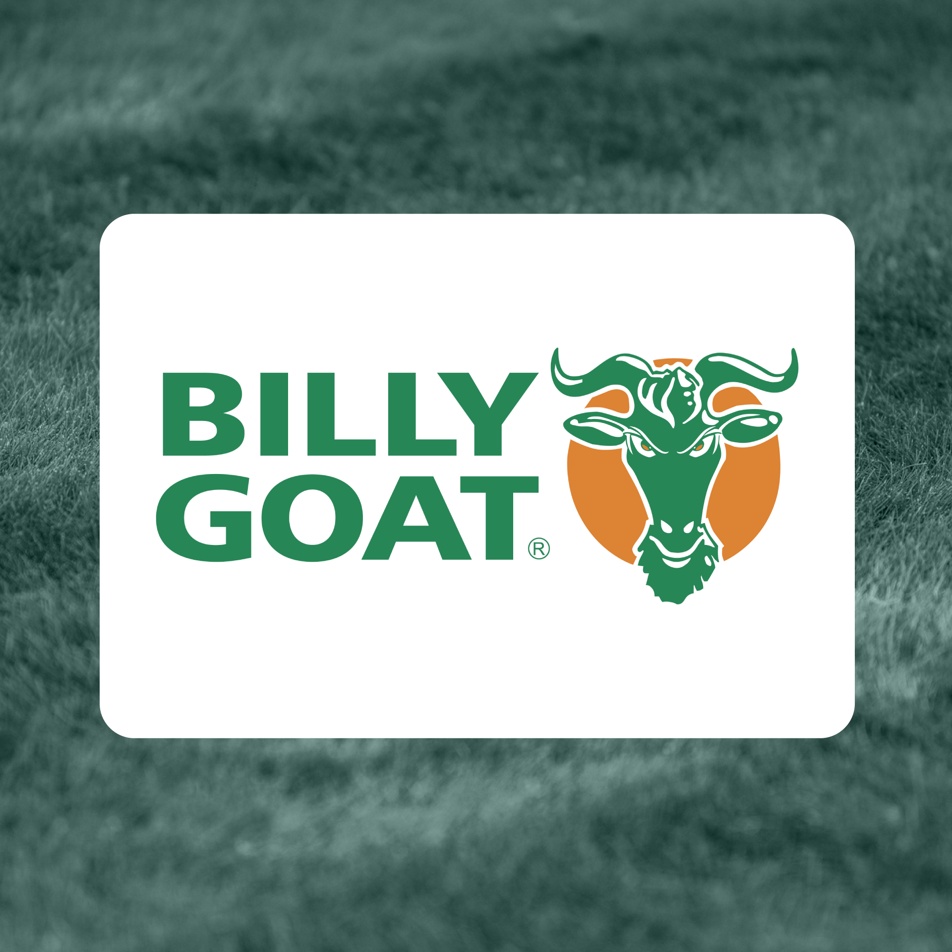 A billy goat logo on a green background