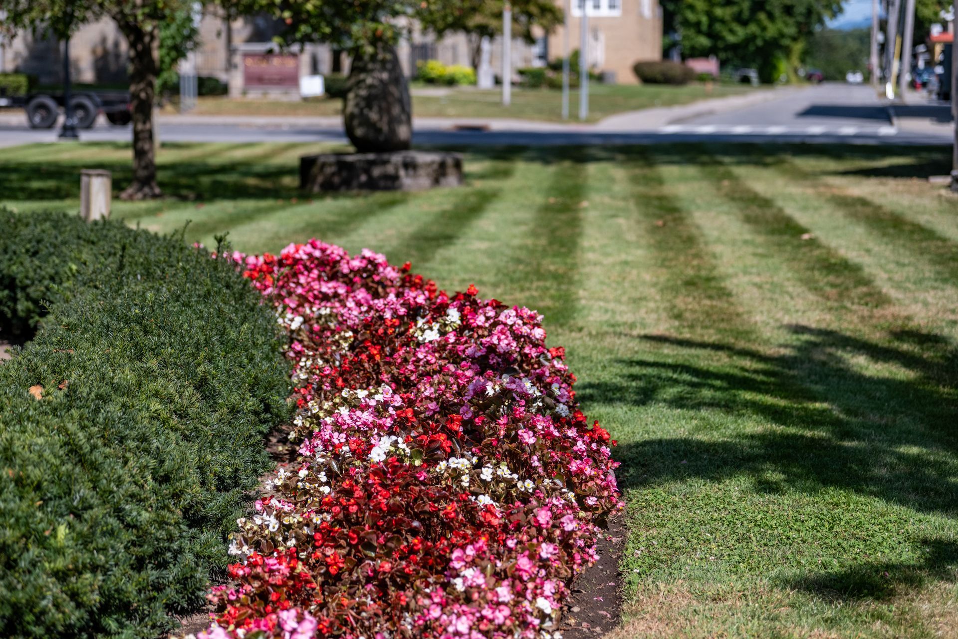 A lush green lawn with flowers in the foreground and a statue in the background.