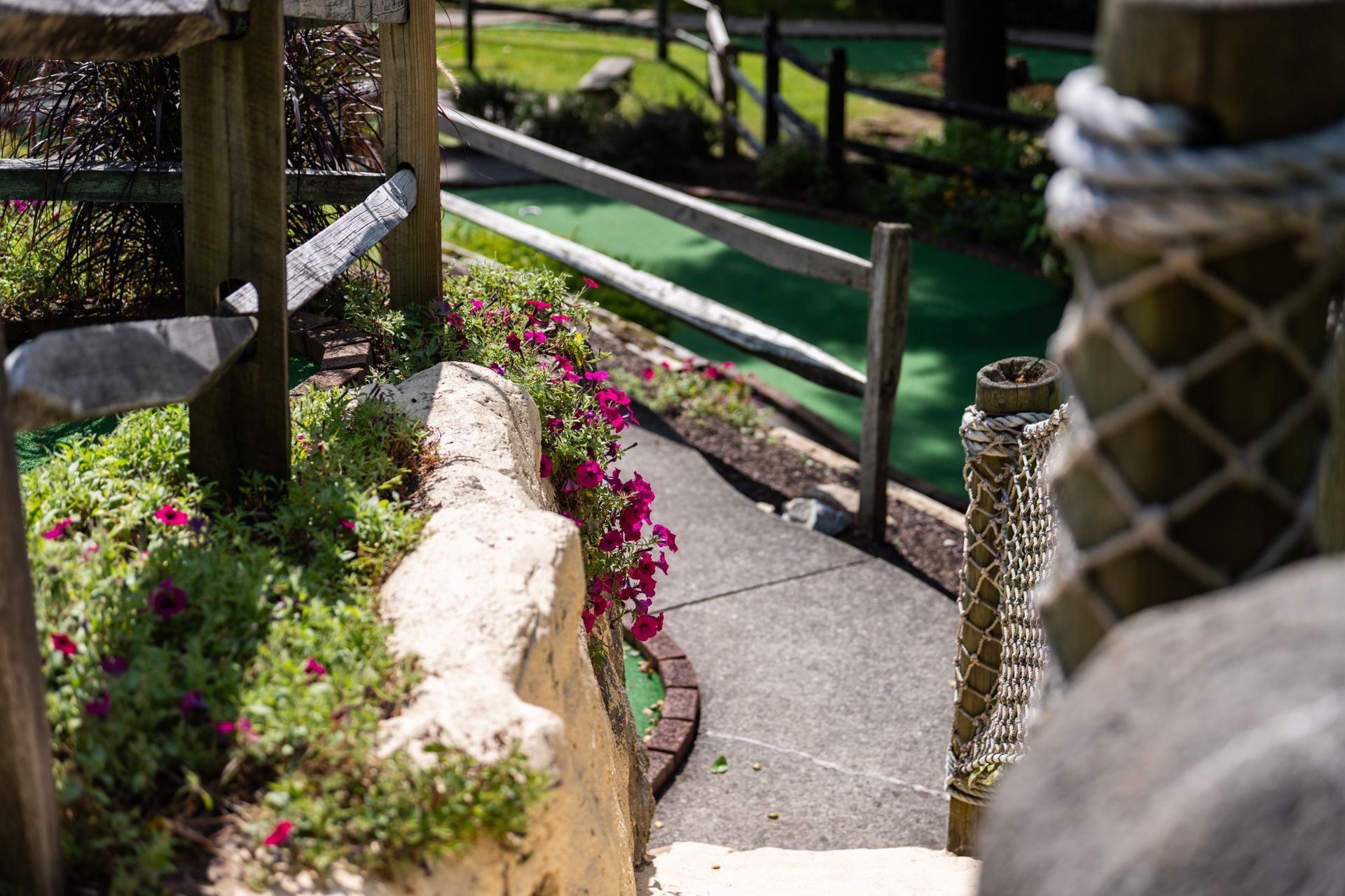 A miniature golf course with flowers and a rope fence.