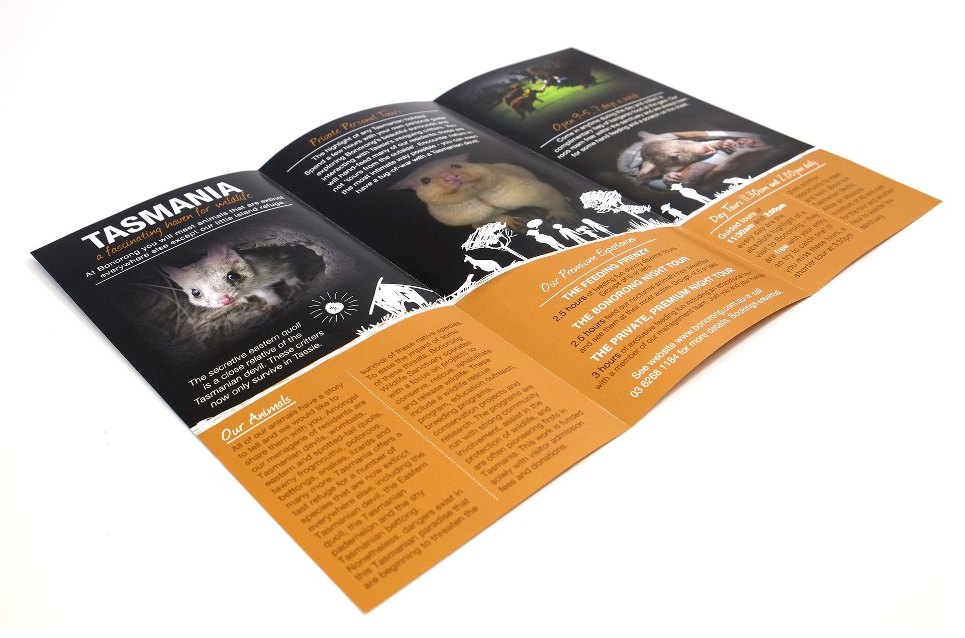 Brochure about Tasmania wildlife, open, orange and black colors, text and animal photos.