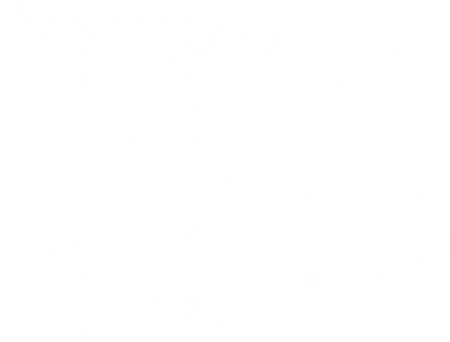 A blank white image.