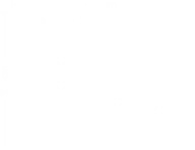 No discernible content. White background.