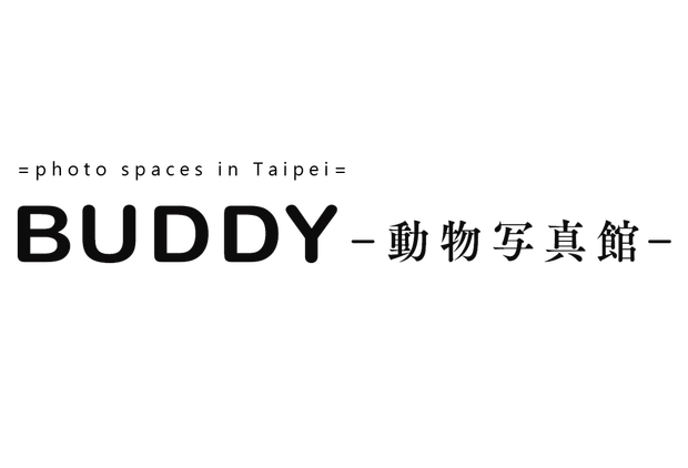 寵物攝影 | Buddy | 人寵攝影