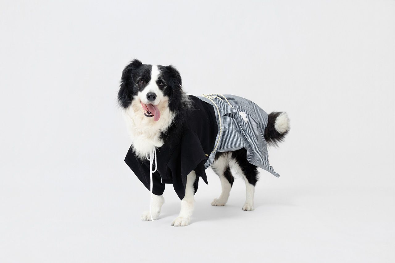 ? 松｜專屬定製