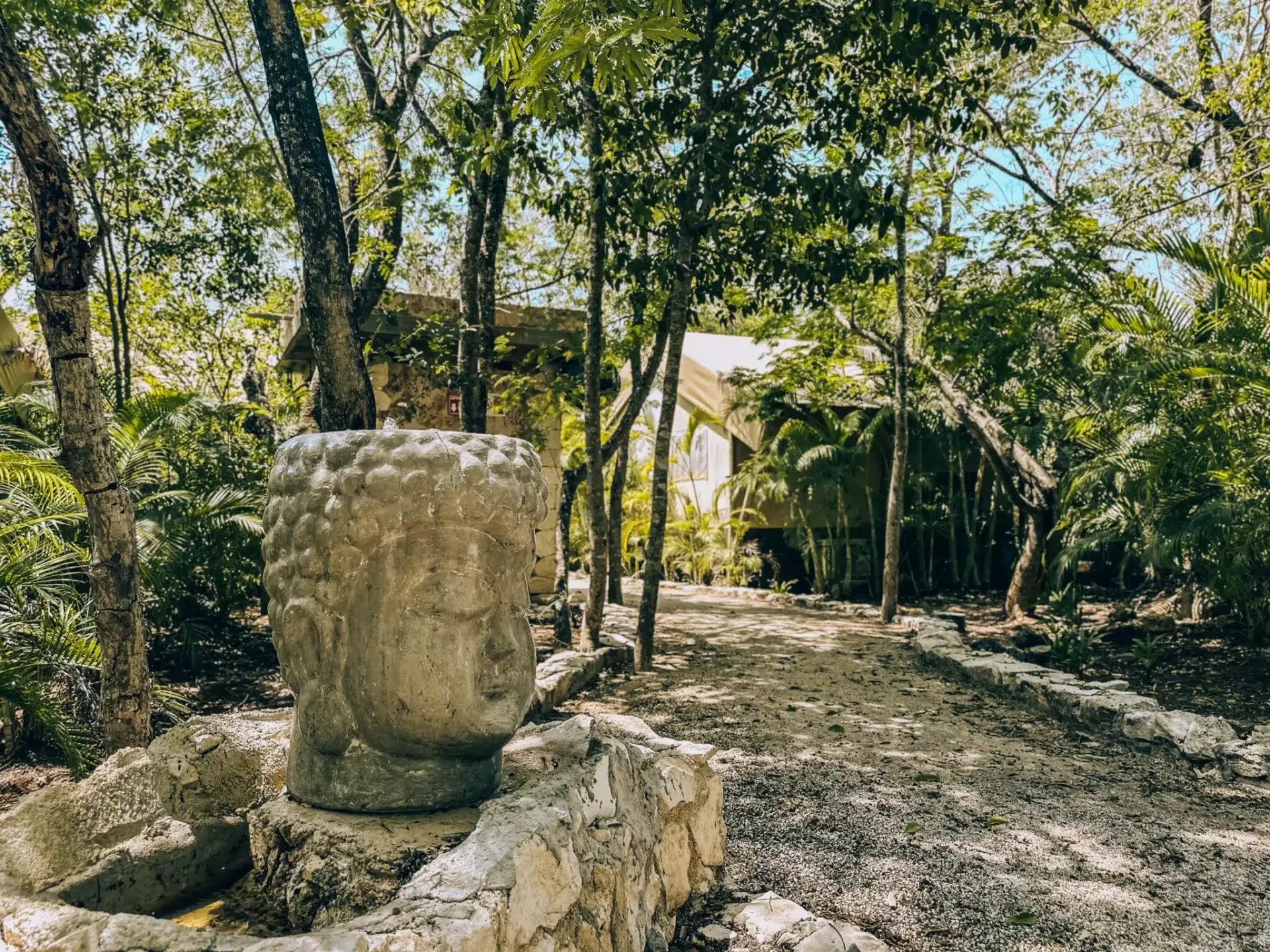 A head-shaped stone surrounded by trees