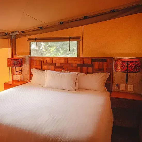 Un dormitorio con una cama king size, dos lámparas y una ventana.
