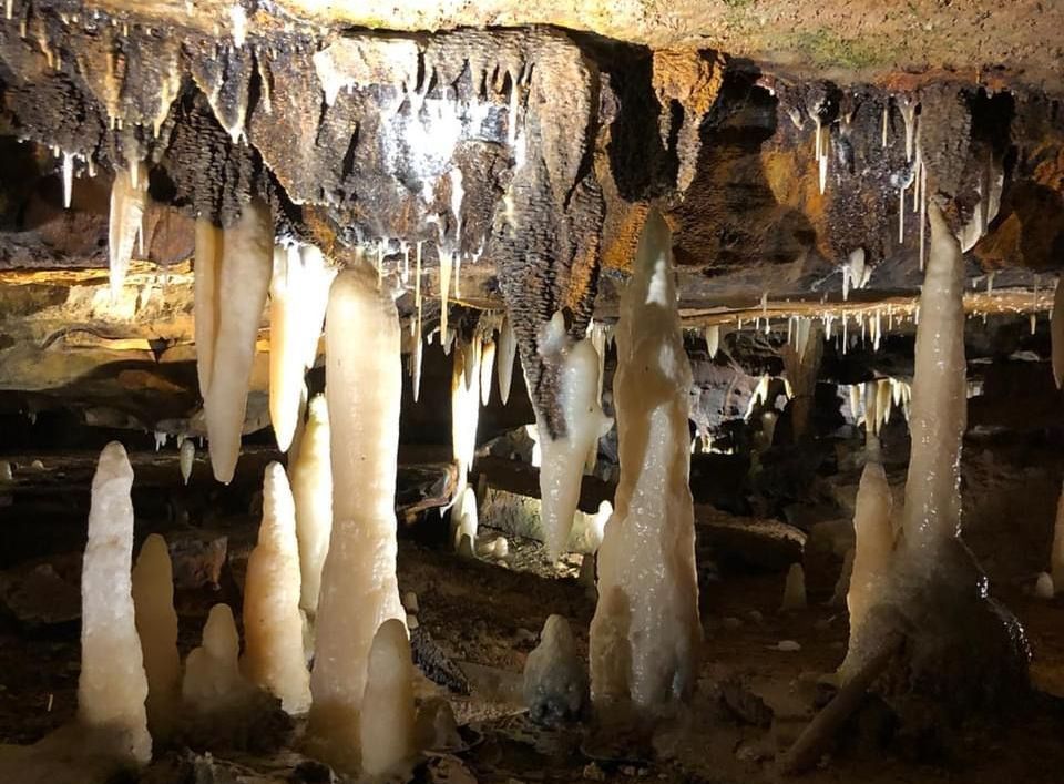A cave filled with lots of stalagmites and stalactites -- Ohio Caverns.