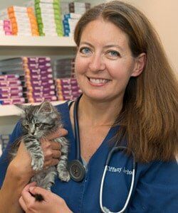 Dr. Tiffany Jarboe - Lexington, KY - North Lexington Veterinary