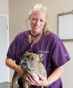 Dr. Jennifer Rankin - Lexington, KY - North Lexington Veterinary