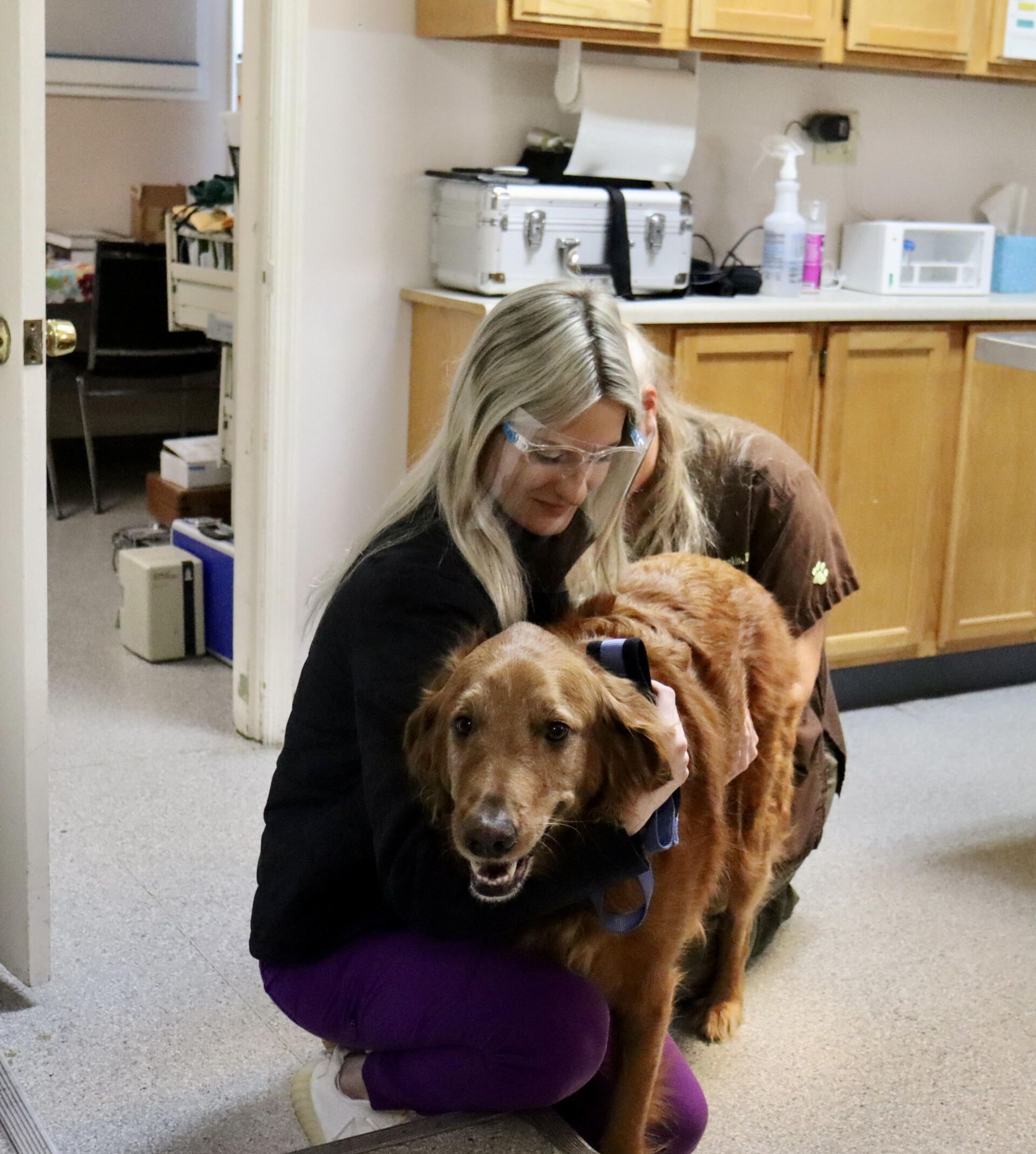 Physical Exams - Lexington, KY - North Lexington Veterinary