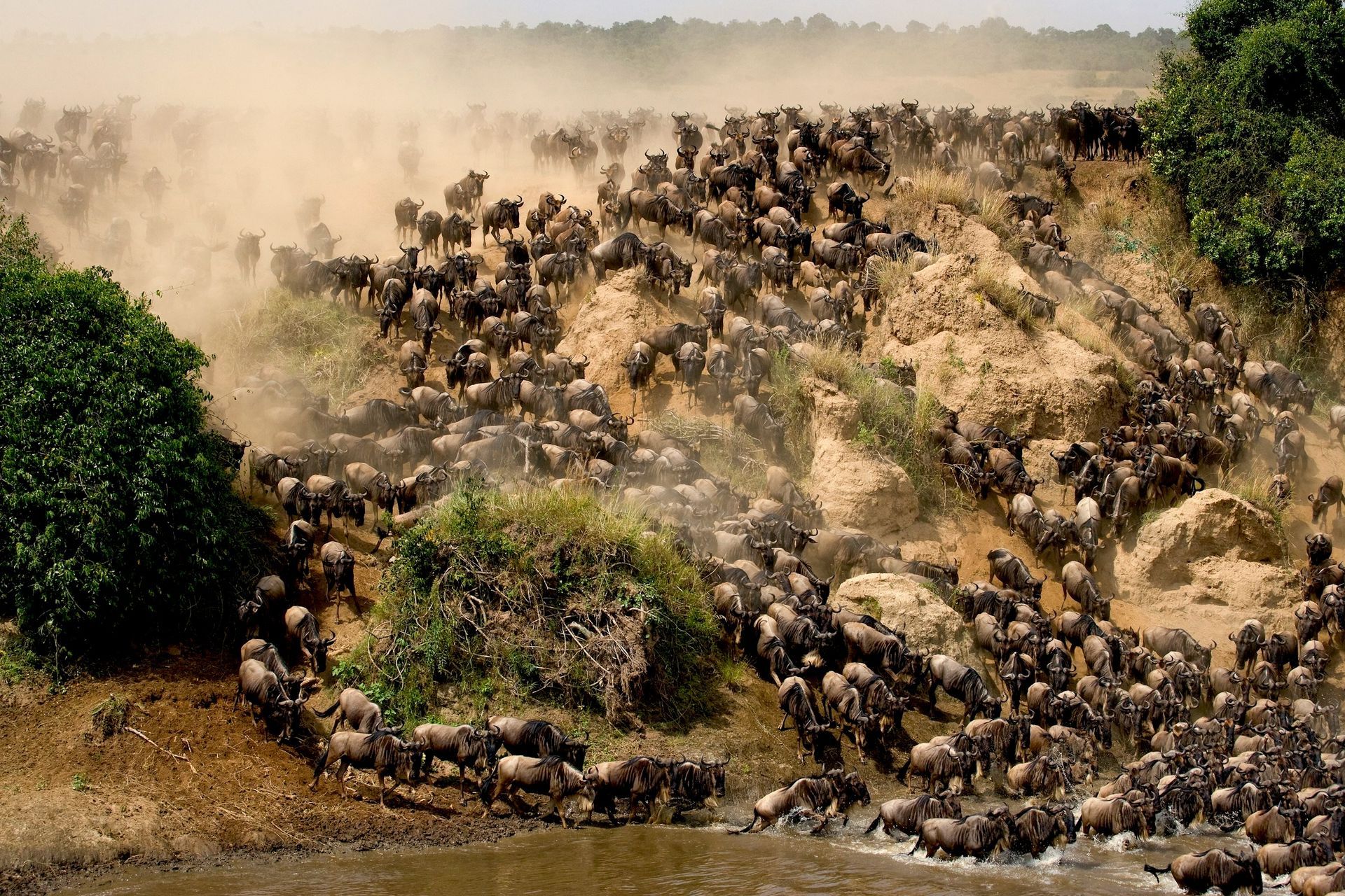 UBON safaris Explore Kenya