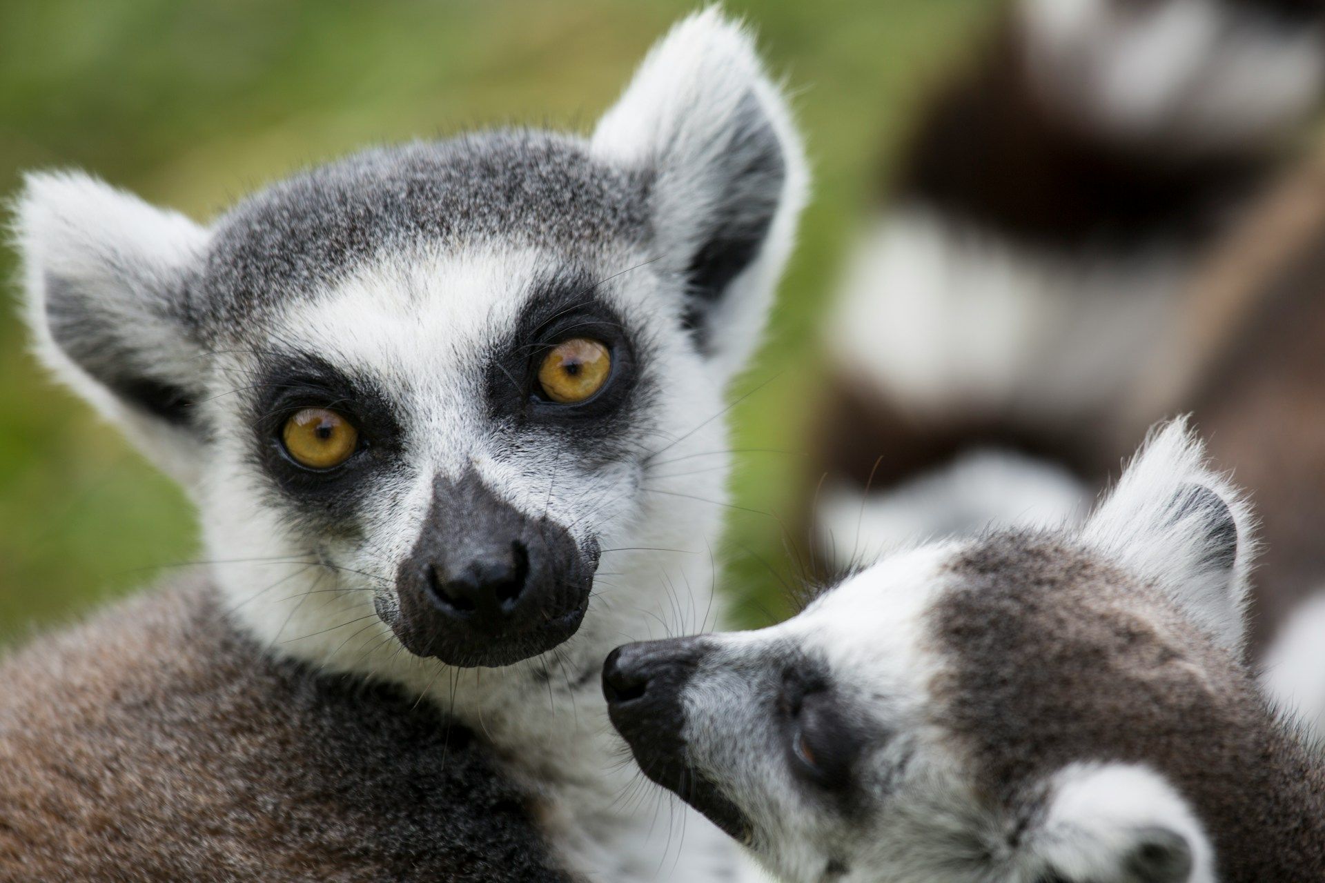 UBON safaris Explore Madagascar