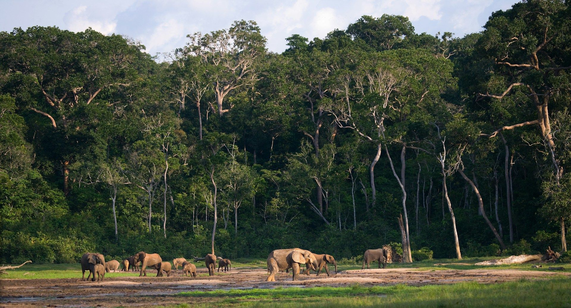 UBON safaris Explore Republic of Congo