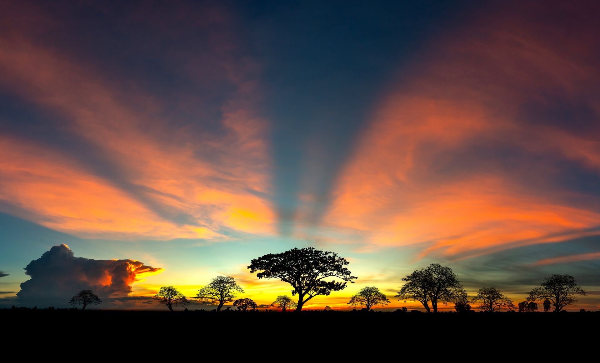 UBON safaris Explore Tanzania