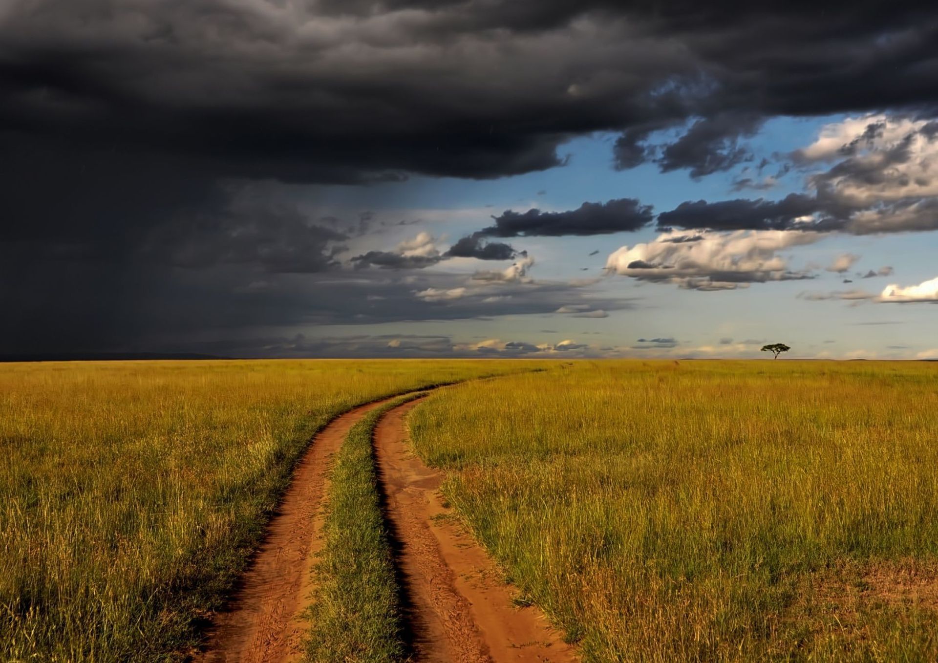 Dirt road through a field of golden grass beneath stormy dark clouds and blue sky.