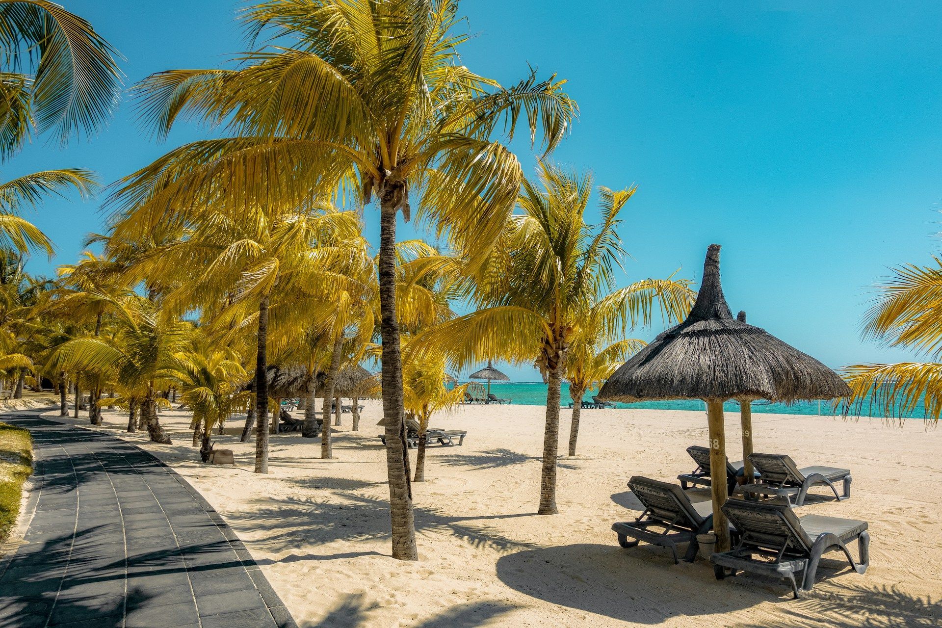 Beach with palm trees, straw umbrellas, lounge chairs, and a paved walkway under a bright blue sky.
