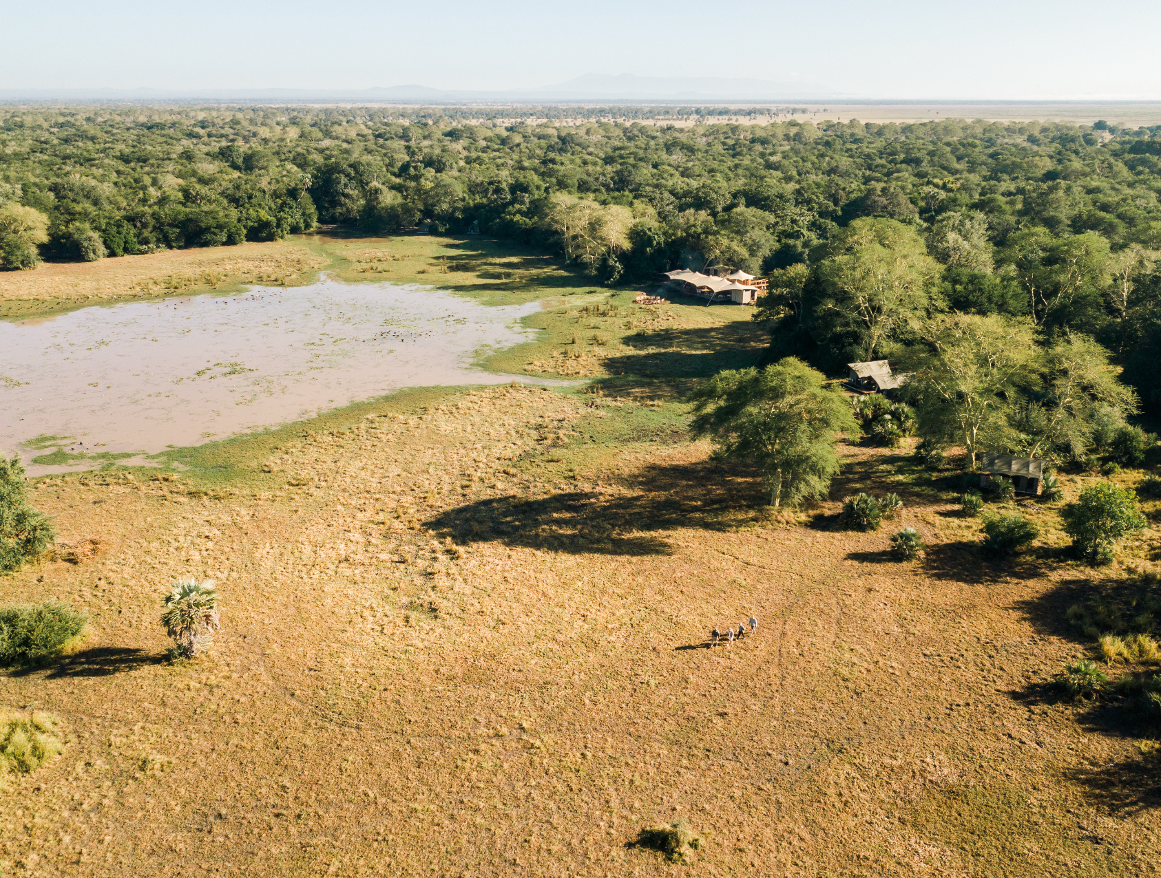 Aerial view of lush green landscape with a lake and buildings.