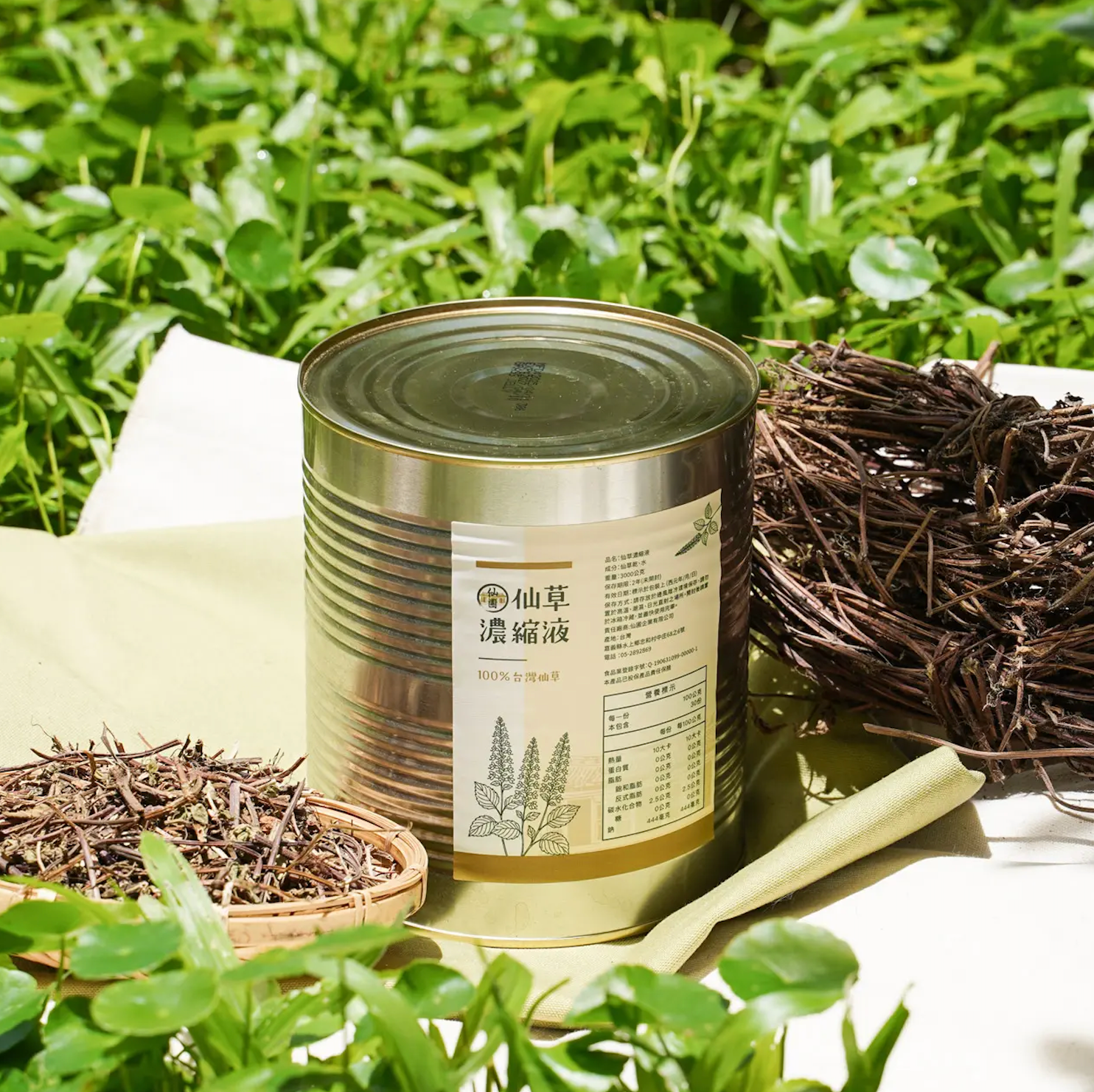 仙草濃縮液 3L/罐