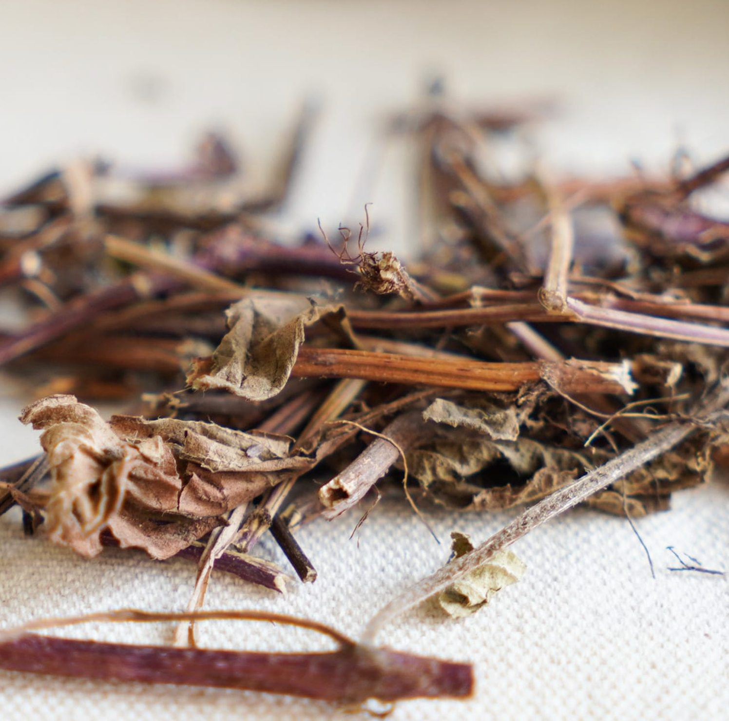 養生仙草茶 12罐/箱