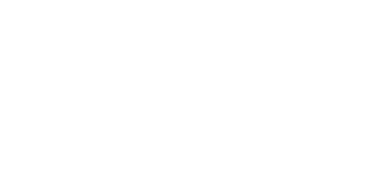 Dale's Shoes logo