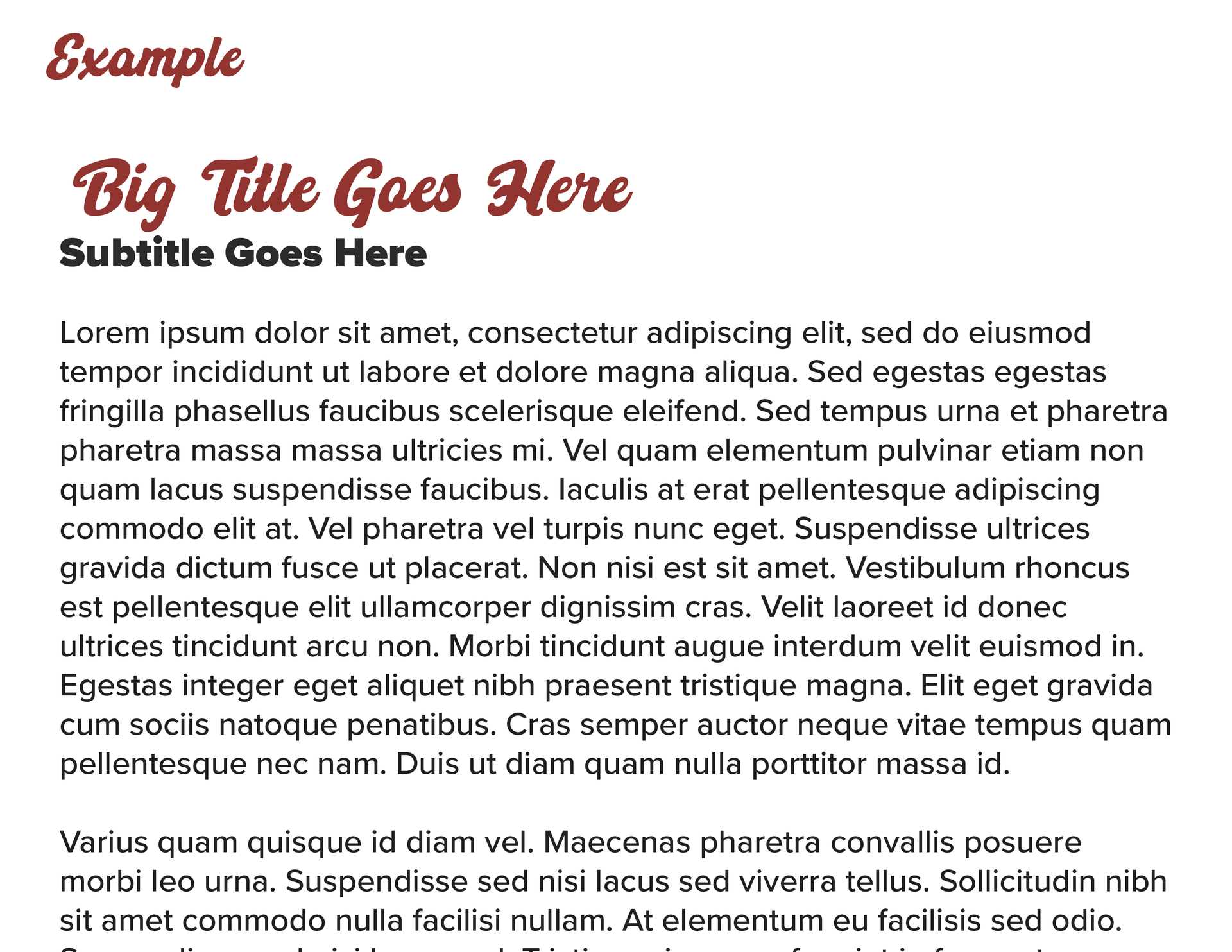 A page of text that says big title goes here subtitle goes here