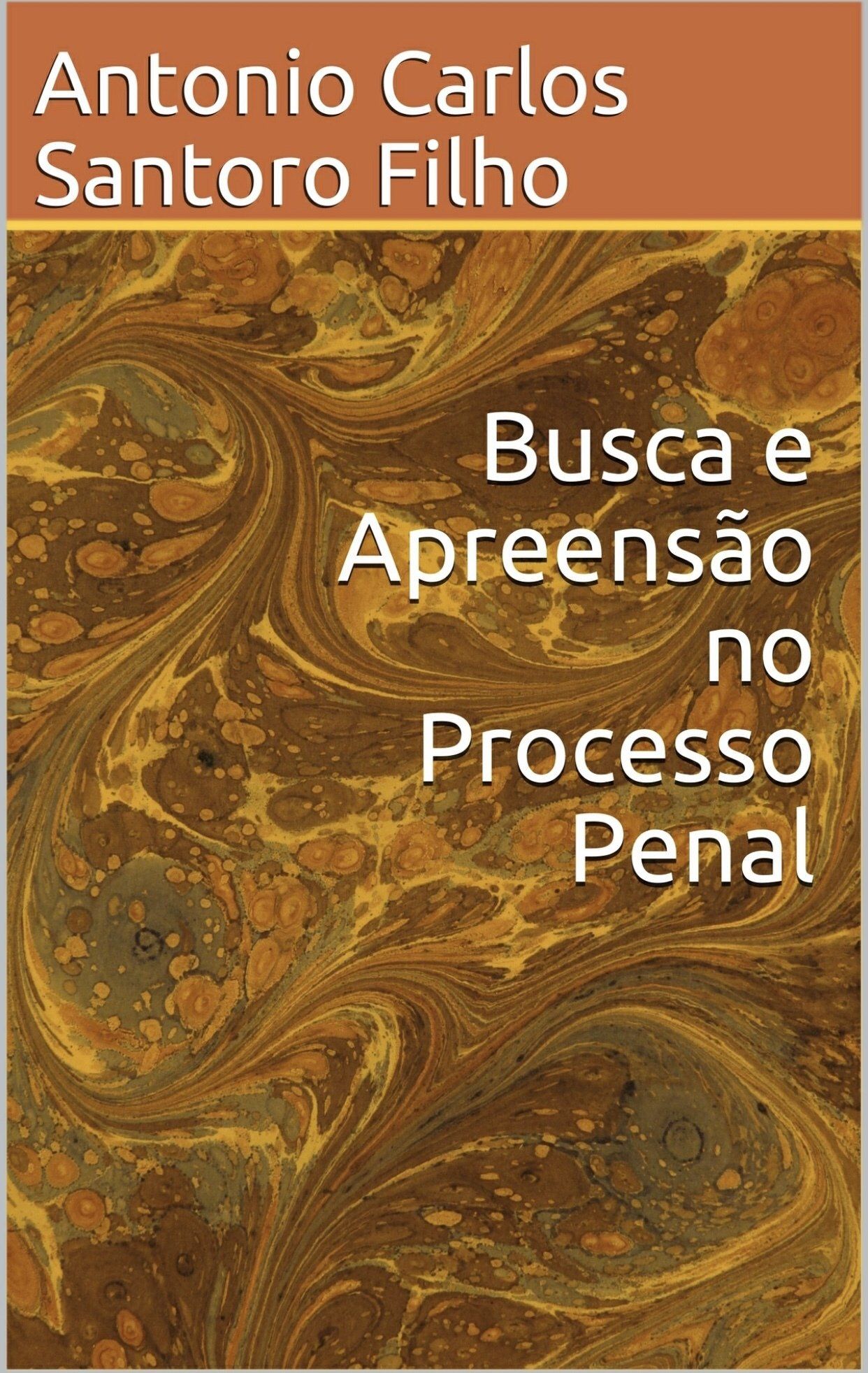 Busca e Apreensão no Processo Penal