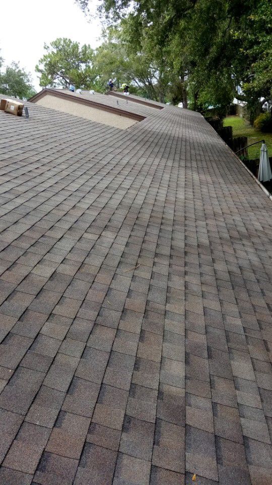 Installed Shingle Roof