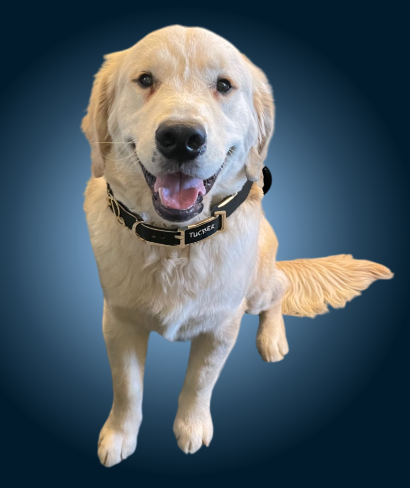Staff Photo