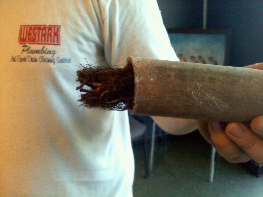 A person wearing a shirt that says westark plumbing