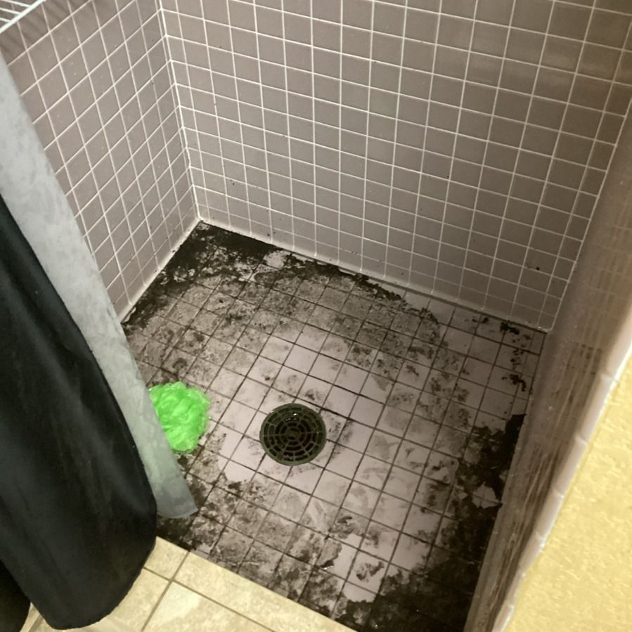 A dirty shower stall with a green sponge on the floor.