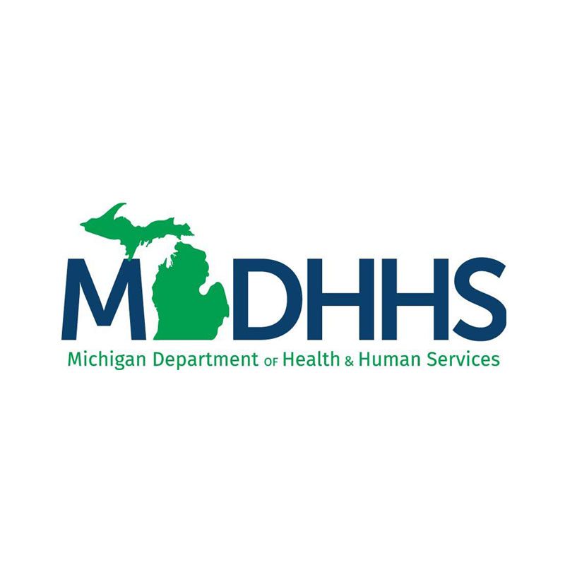 Michigan Medicaid