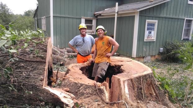 Two men stand by a large tree stump they've cut. They wear safety gear and pose in front of a green house.