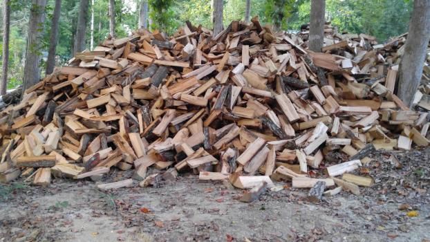 Pile of chopped firewood in a wooded area, varying shades of brown and tan.