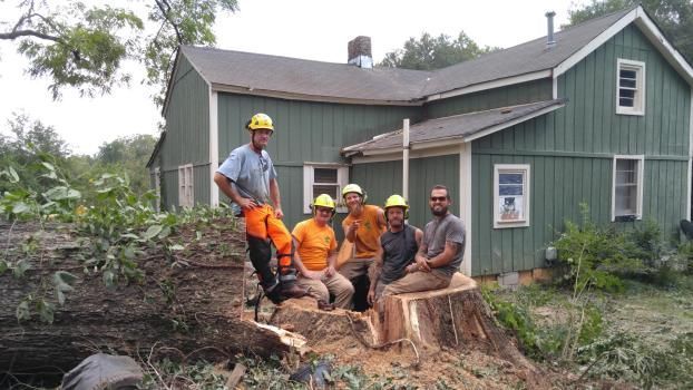 Five tree workers pose on a large tree stump in front of a green house after a tree removal.