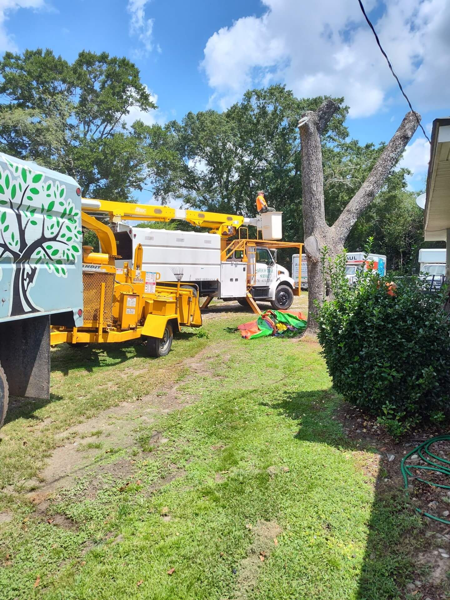 Tree service trucks and equipment trimming a tall tree in a residential yard.