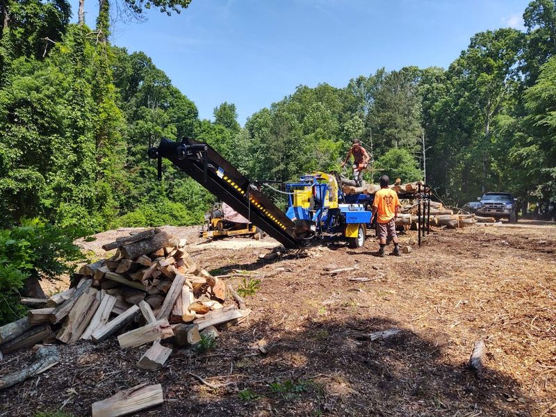 Men splitting wood with a wood processor in a wooded area on a sunny day.