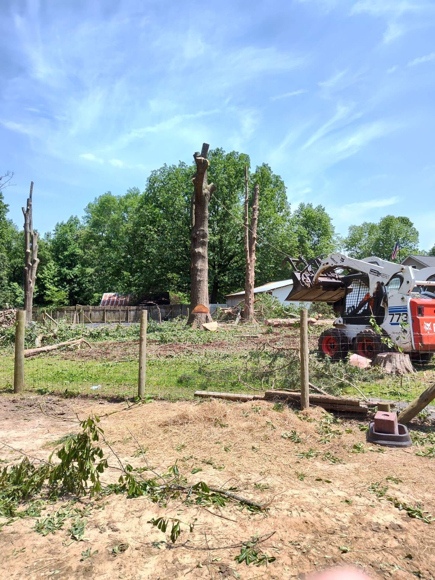 Trees cut down in a field; a Bobcat vehicle sits nearby, with a fence in the foreground.