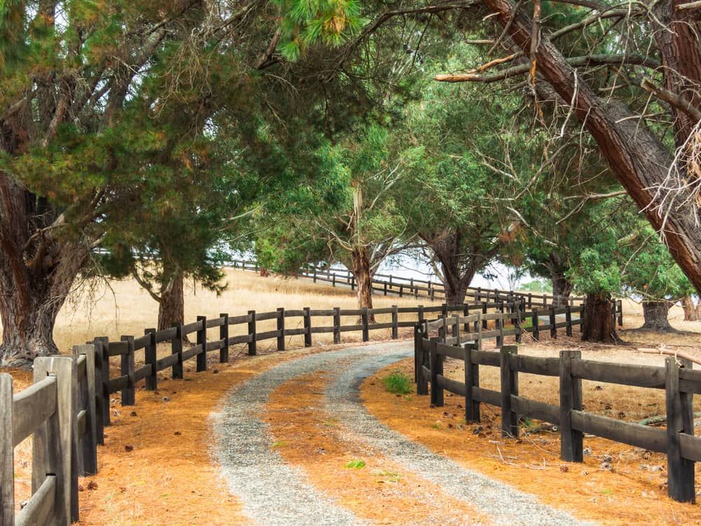 A Gravel Road Curves Through a Tree-lined Landscape — Country Coast Valuers in Mid North Coast, NSW