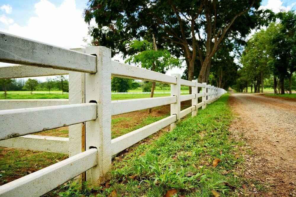 White Fence Borders a Dirt Road Through a Grassy, Tree-lined Area — Country Coast Valuers in Nabiac, NSW