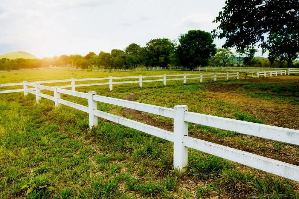 White Fence in a Green Field, With Trees — Country Coast Valuers in Forster, NSW