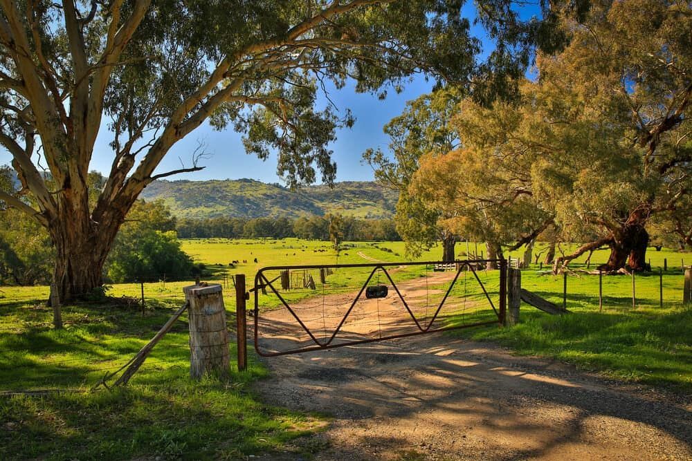 Gate Opening to a Green Field With Trees Under a Blue Sky — Country Coast Valuers in Cundletown, NSW