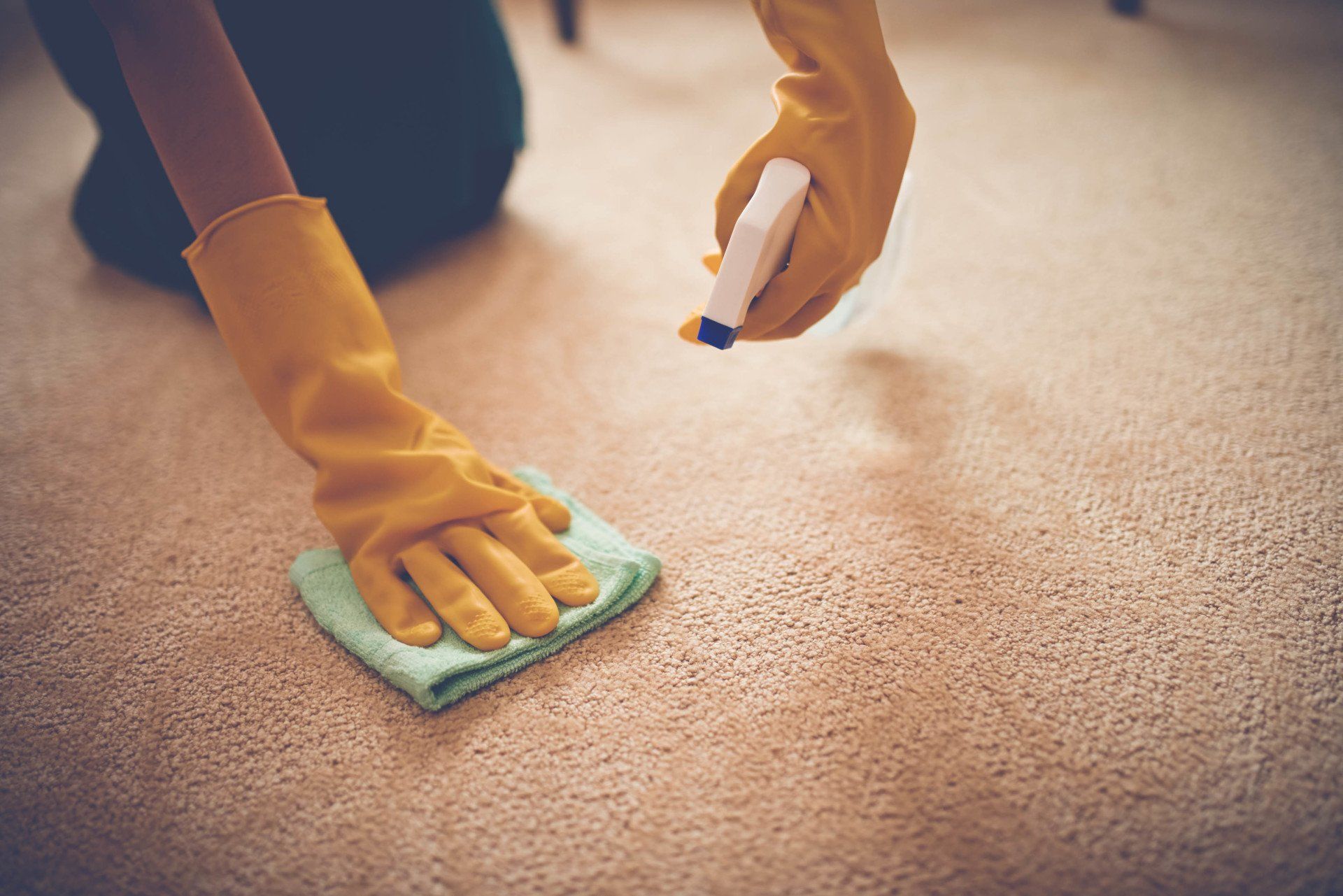 Close-up Image of Woman Removing Stain from the Carpet — Plano, TX — JR1 Commercial Cleaning Services