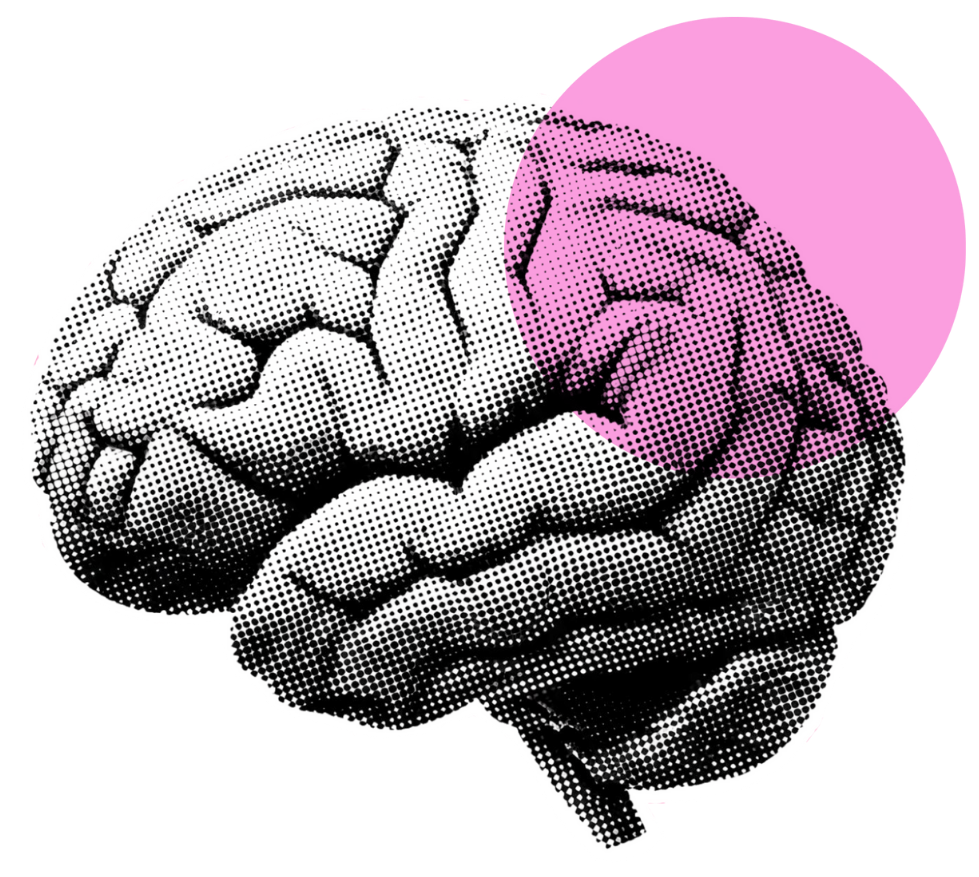 Brain in black and white with the front right section highlighted in pink, set against a pink circle.