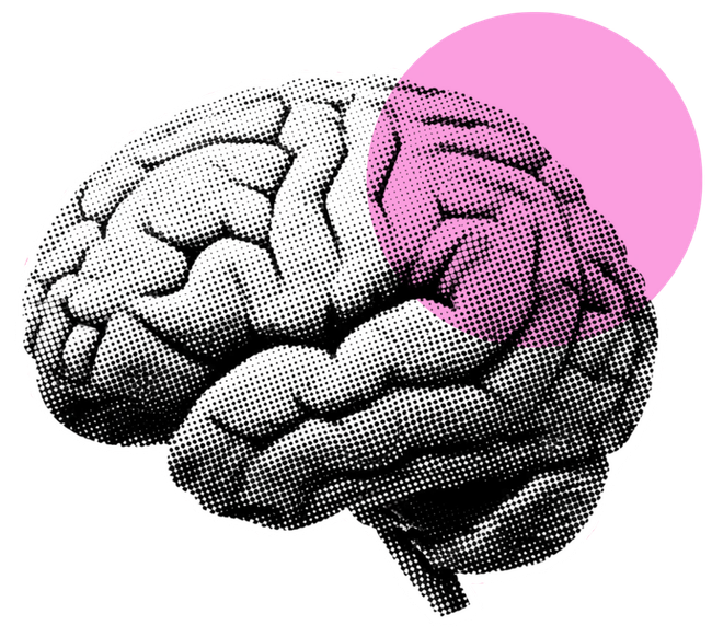 Brain graphic, partially pink-highlighted, with a pink circle in the background.