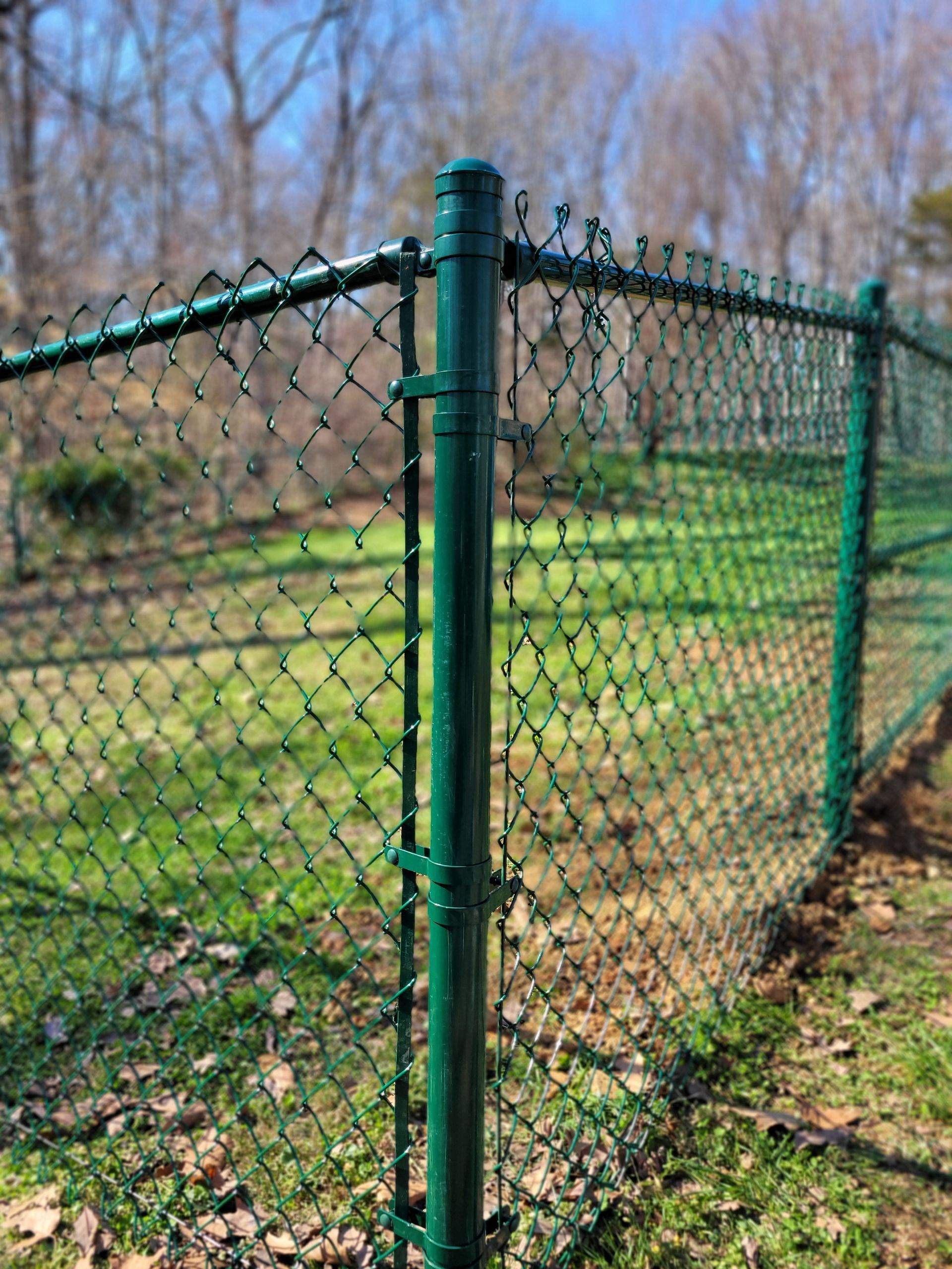 A green chain link fence is surrounded by grass and trees.