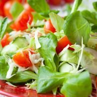 Fresh green lettuce salad with red tomato pieces and shredded cheese in a close-up view